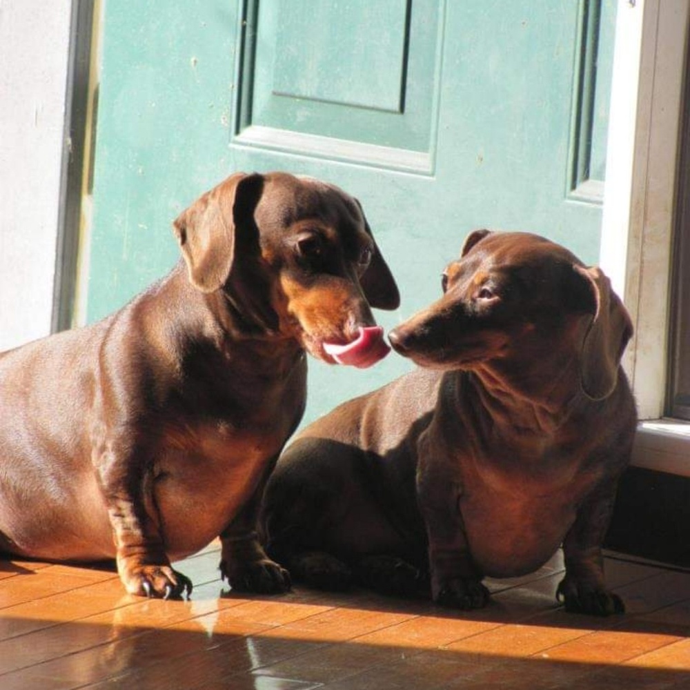 Meet your Posher, Issac